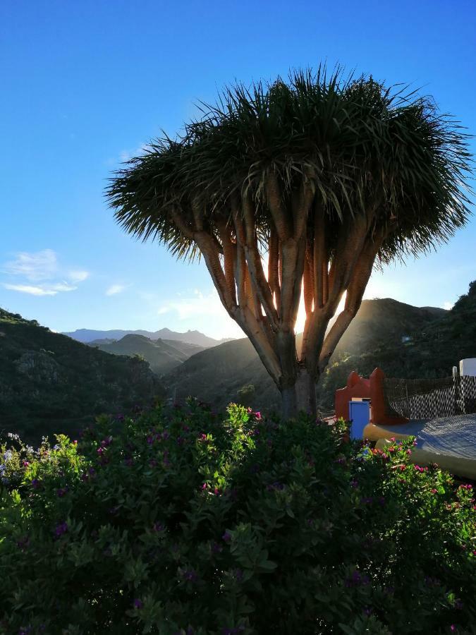 Vivelorural Casa La Cuevita, Santa Brigida Экстерьер фото
